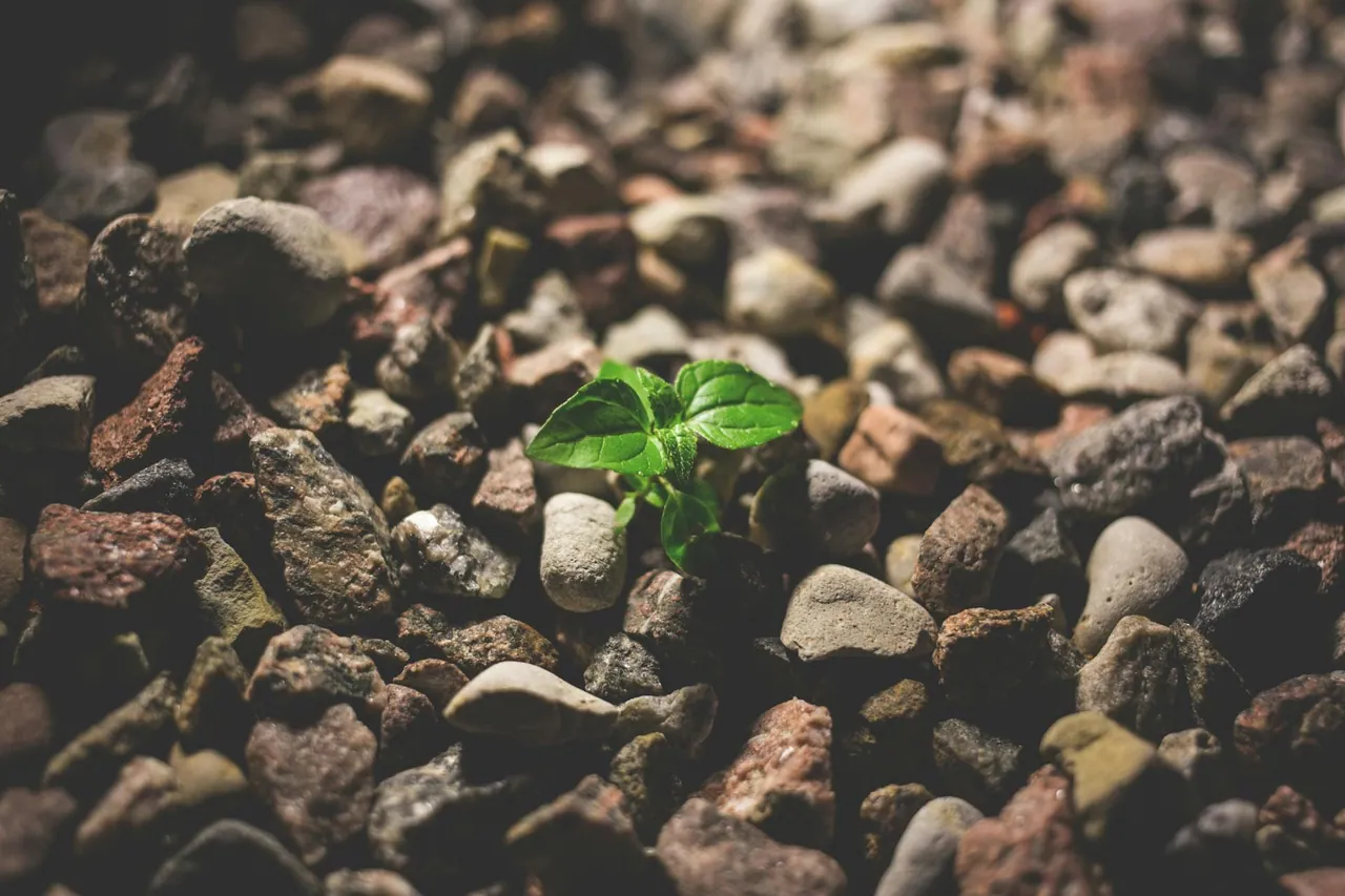 Resiliencia con Coaching
