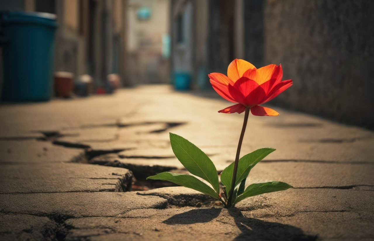 Fortalecer la Resiliencia