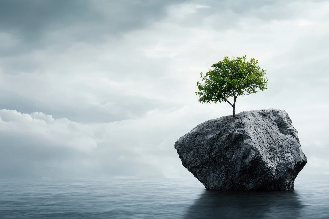 La Importancia de la Resiliencia