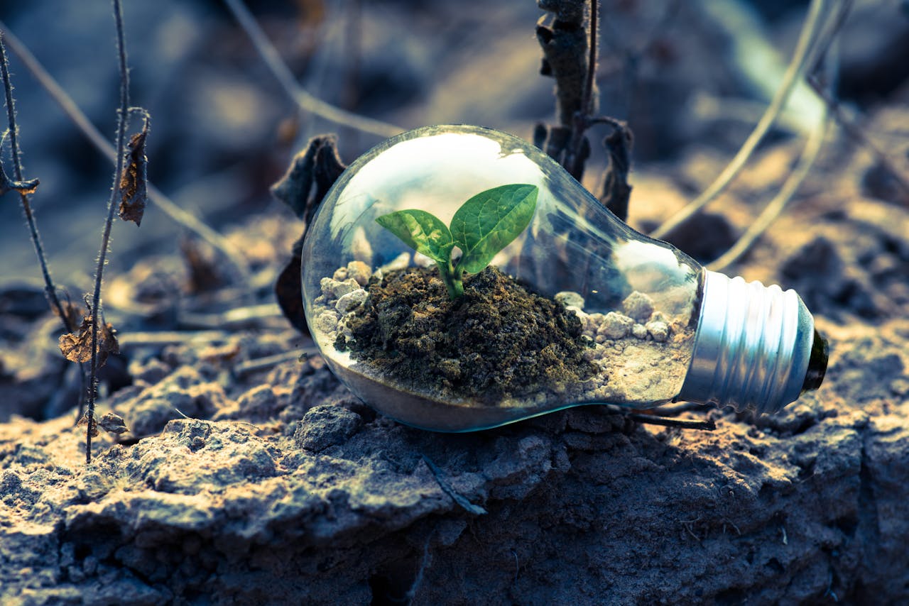 Coaching para la Innovación: Potencia tu Creatividad y Liderazgo