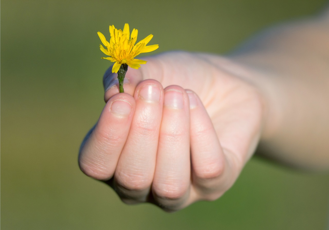 La Gratitud como Herramienta de Transformación