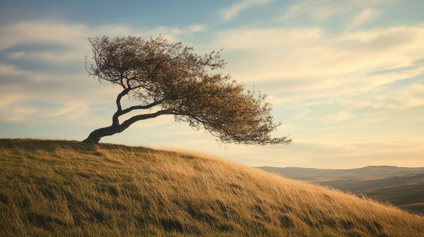 La Importancia de la Resiliencia en Tiempos de Cambio